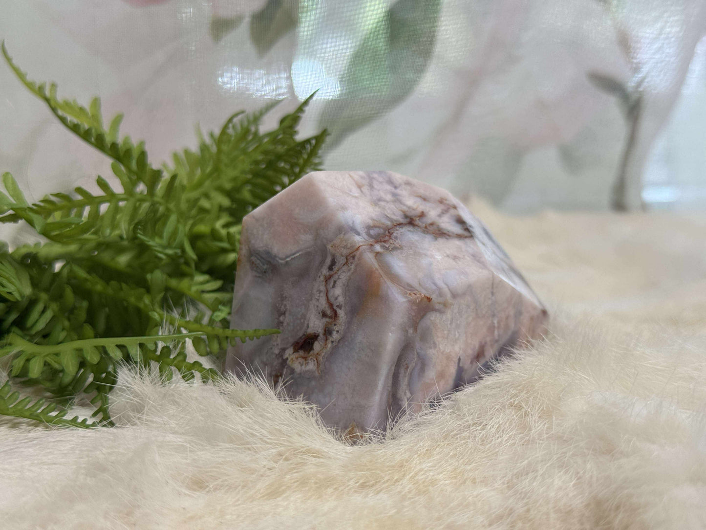 Blue Flower Agate Freeform