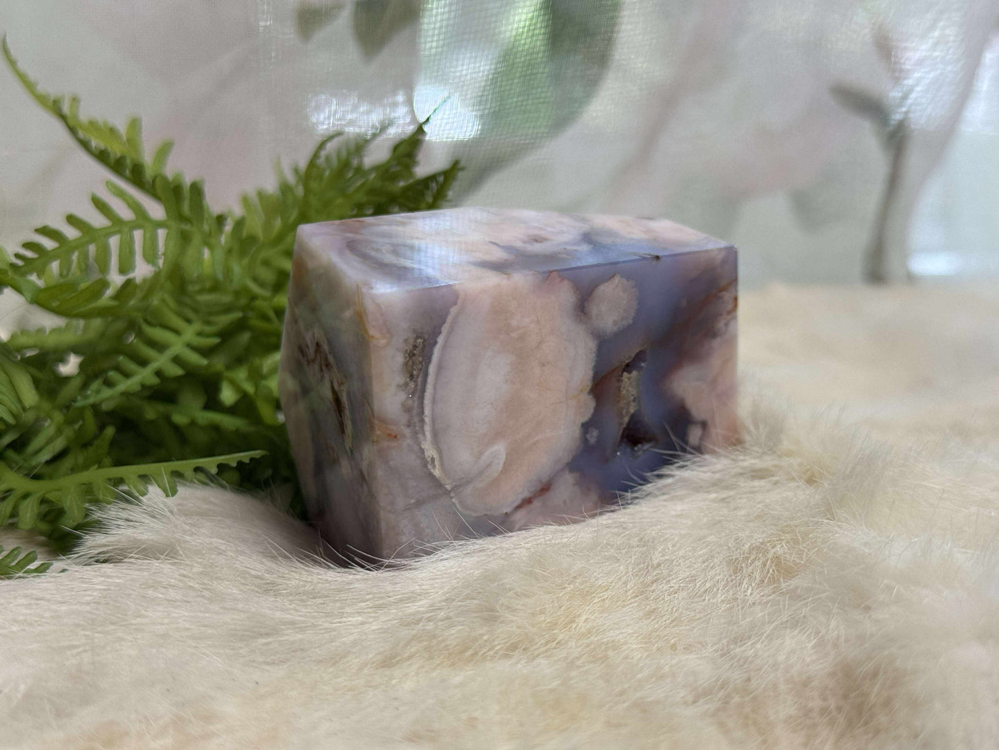Blue Flower Agate Freeform