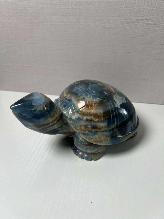 Blue Onyx Turtle - Large