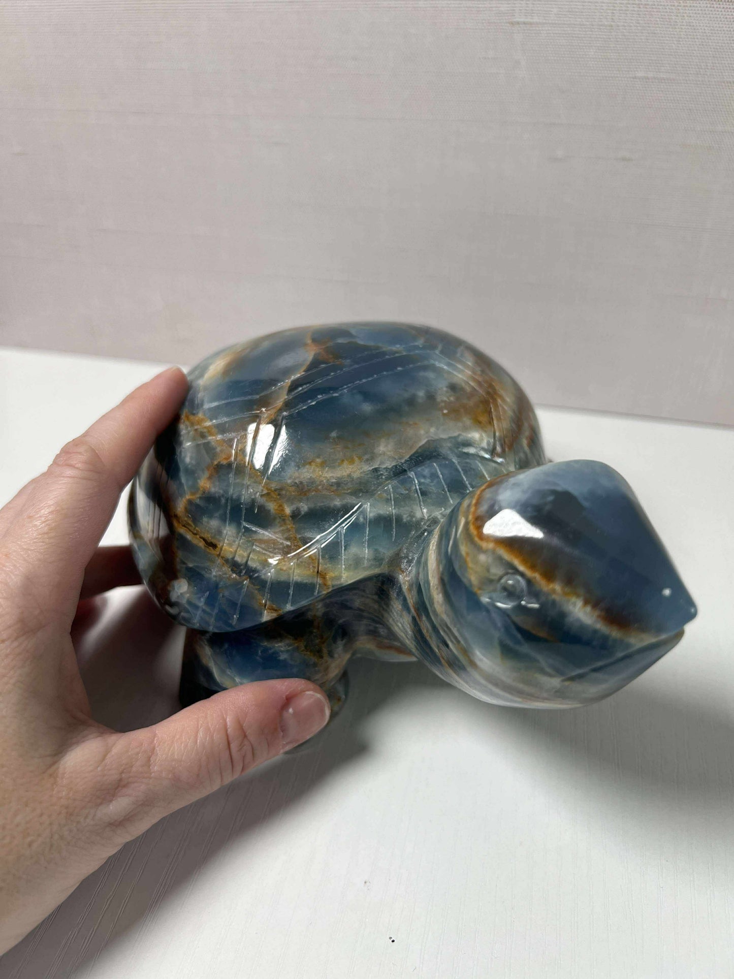 Blue Onyx Turtle - Large