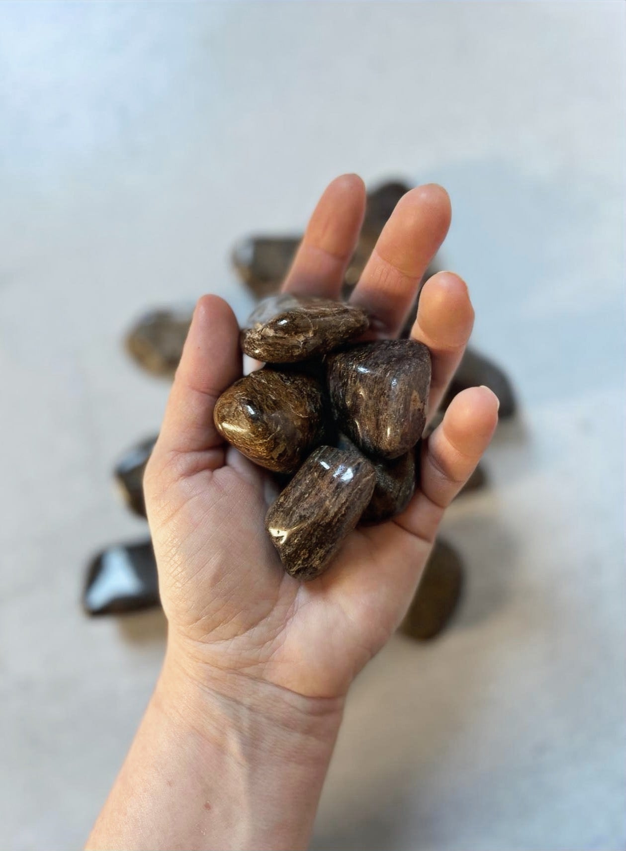 Bronzite