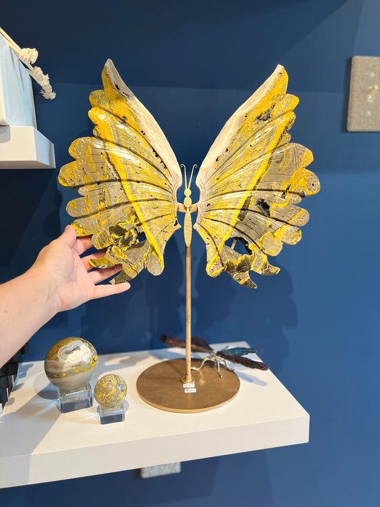 Bumble Bee Jasper butterfly sculpture on a stand against a blue wall