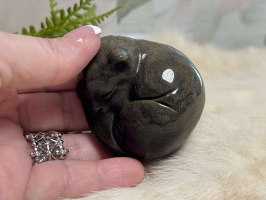 Golden Sheen Obsidian Cat