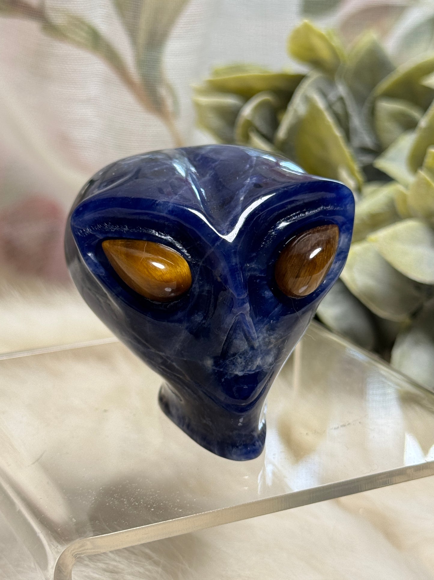 Sodalite Alien Head - Opt 33