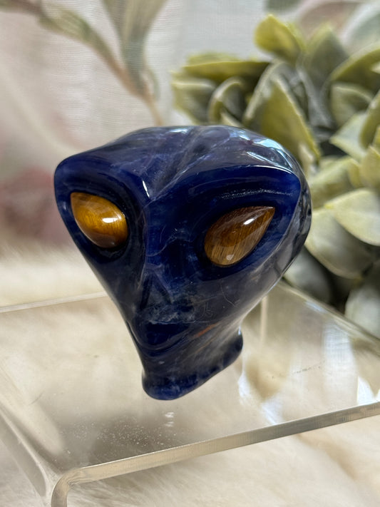 Sodalite Alien Head - Opt 33