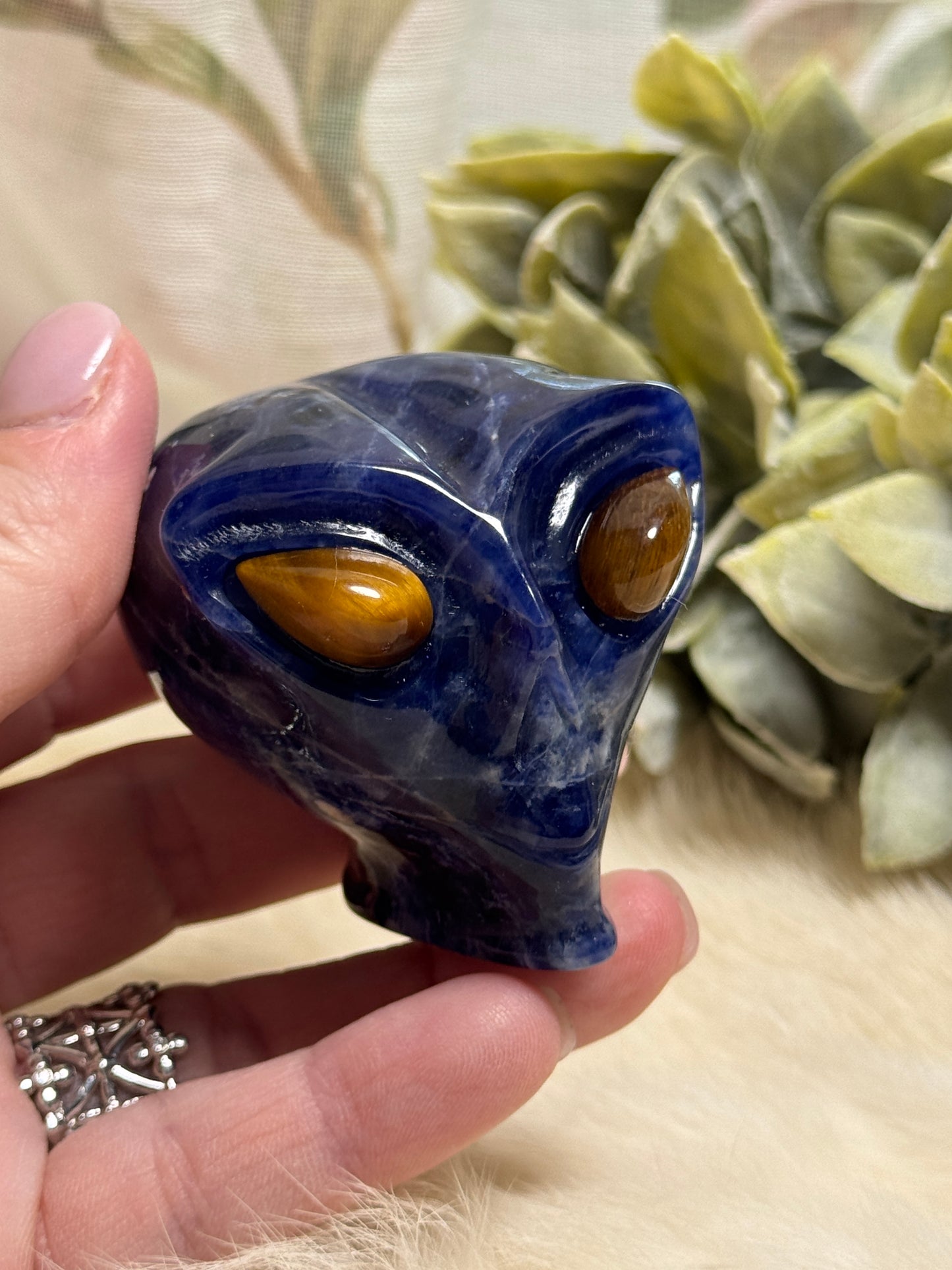 Sodalite Alien Head - Opt 33