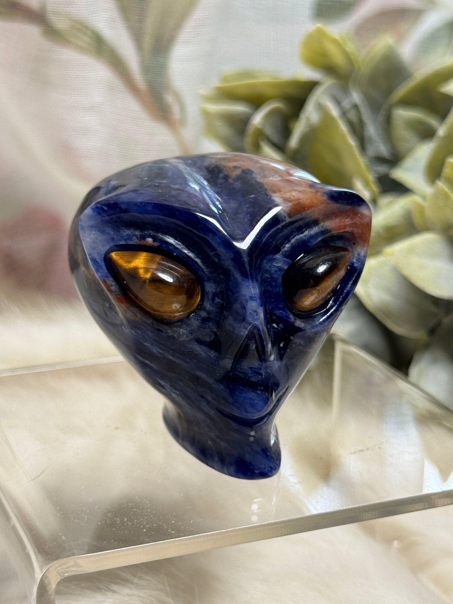 Sodalite Alien Head - Opt 34