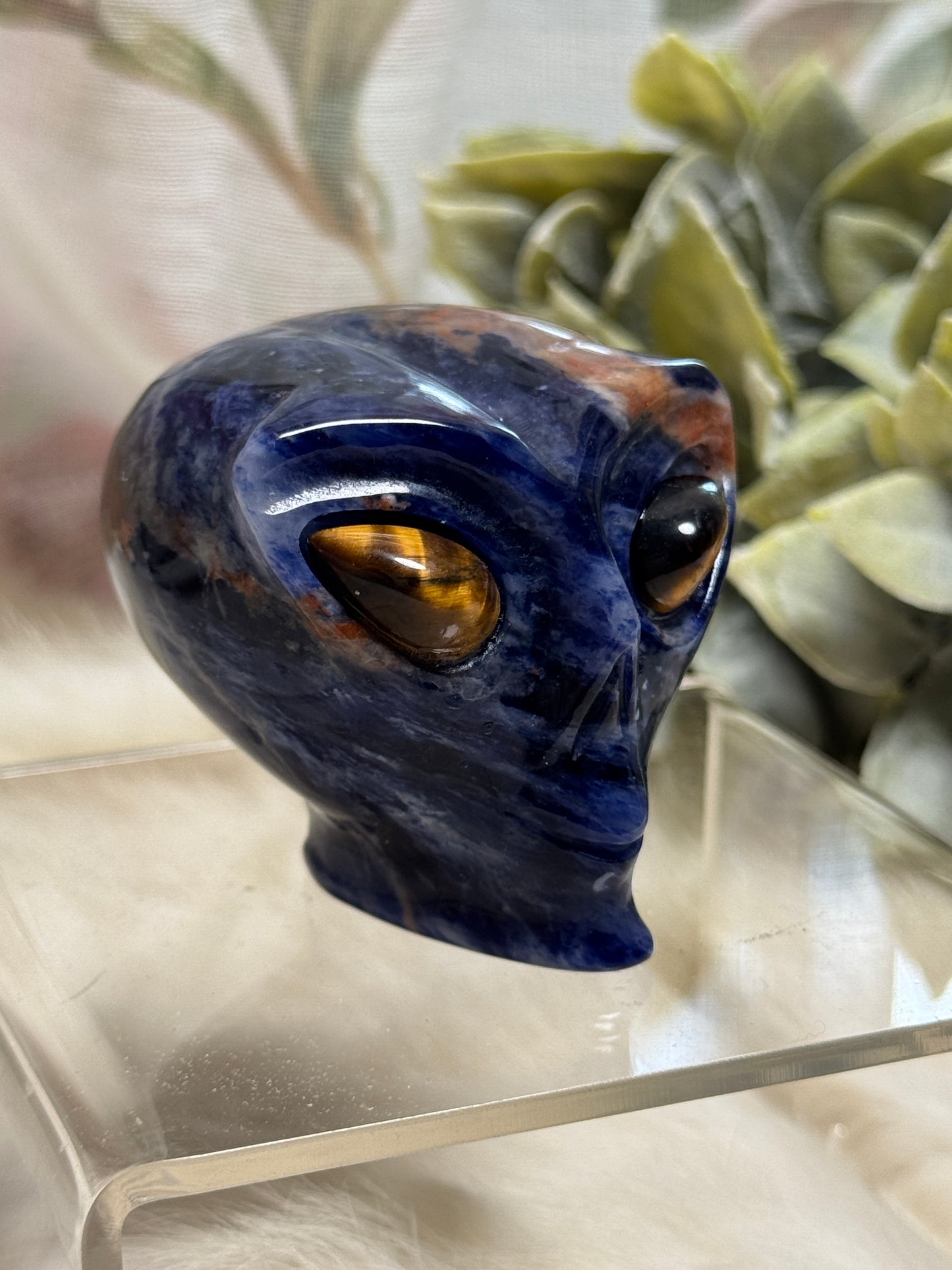 Sodalite Alien Head - Opt 34