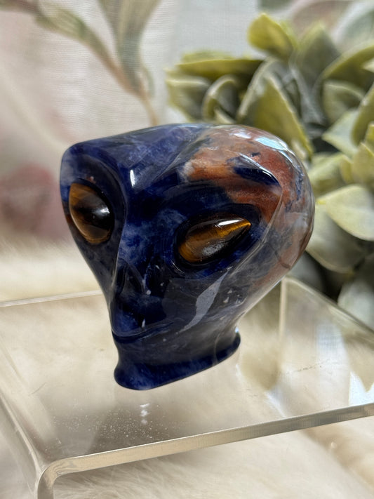 Sodalite Alien Head - Opt 34