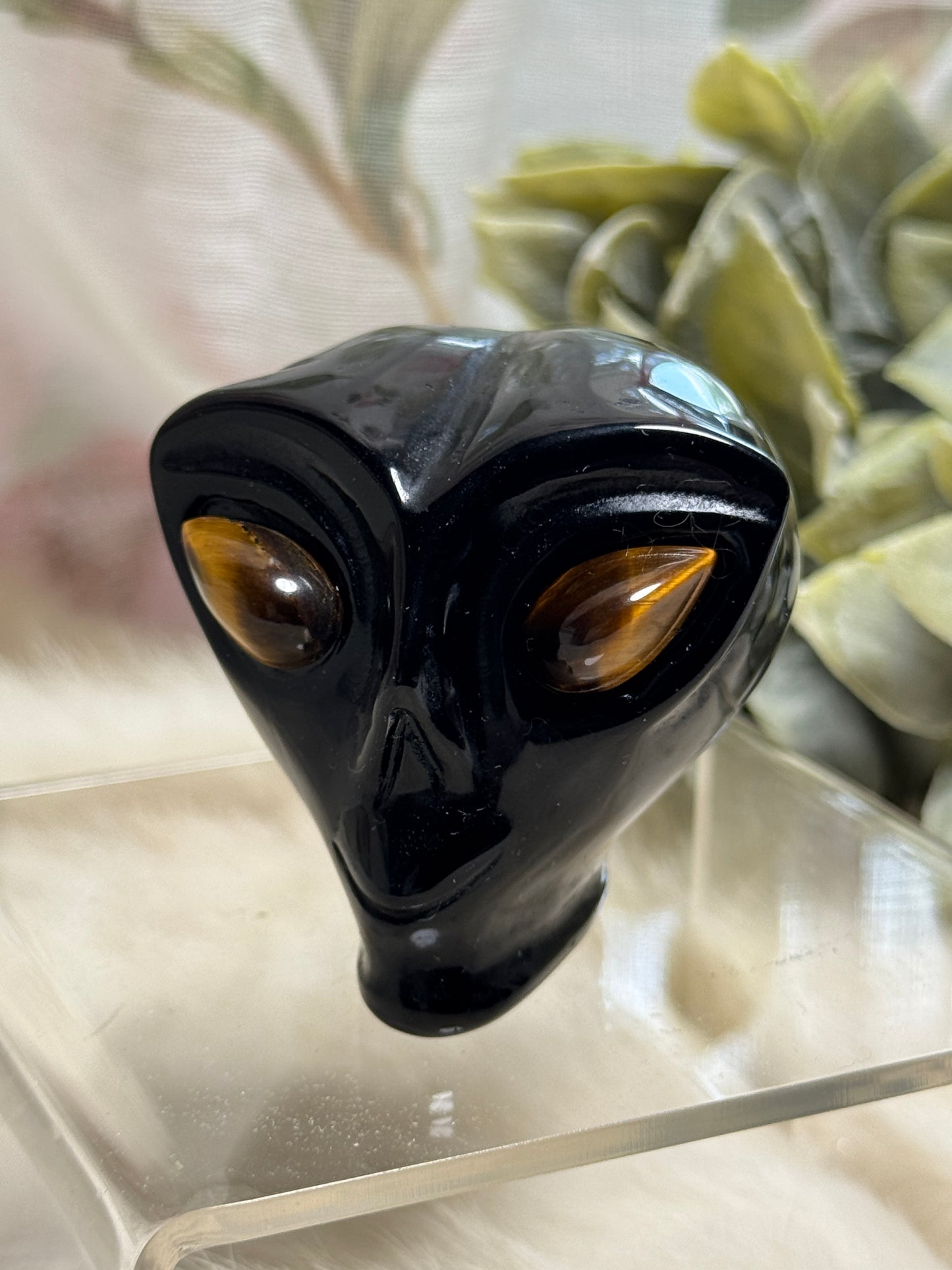 Black Onyx & Tiger Eye Alien Head - Opt 36