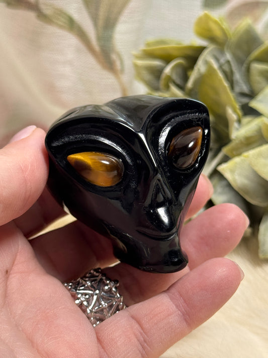 Black Onyx & Tiger Eye Alien Head - Opt 36