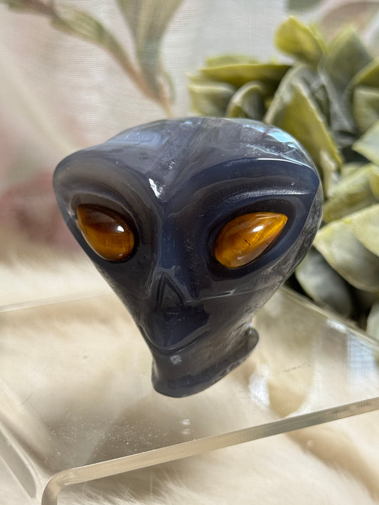 Moss Agate & Ocean Jasper Alien Head - Opt 38