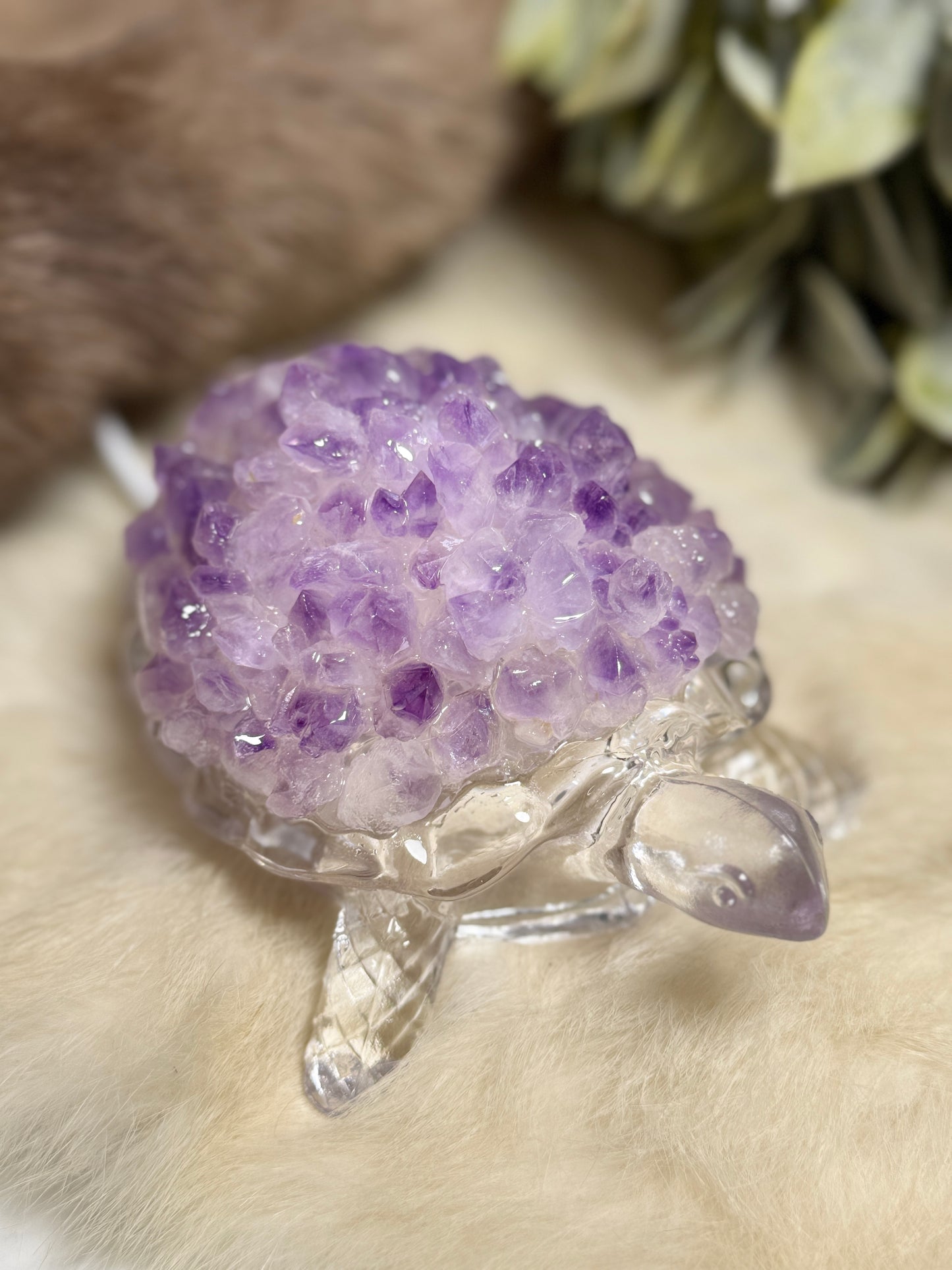 Amethyst Turtle Medium Lamp - Opt 39