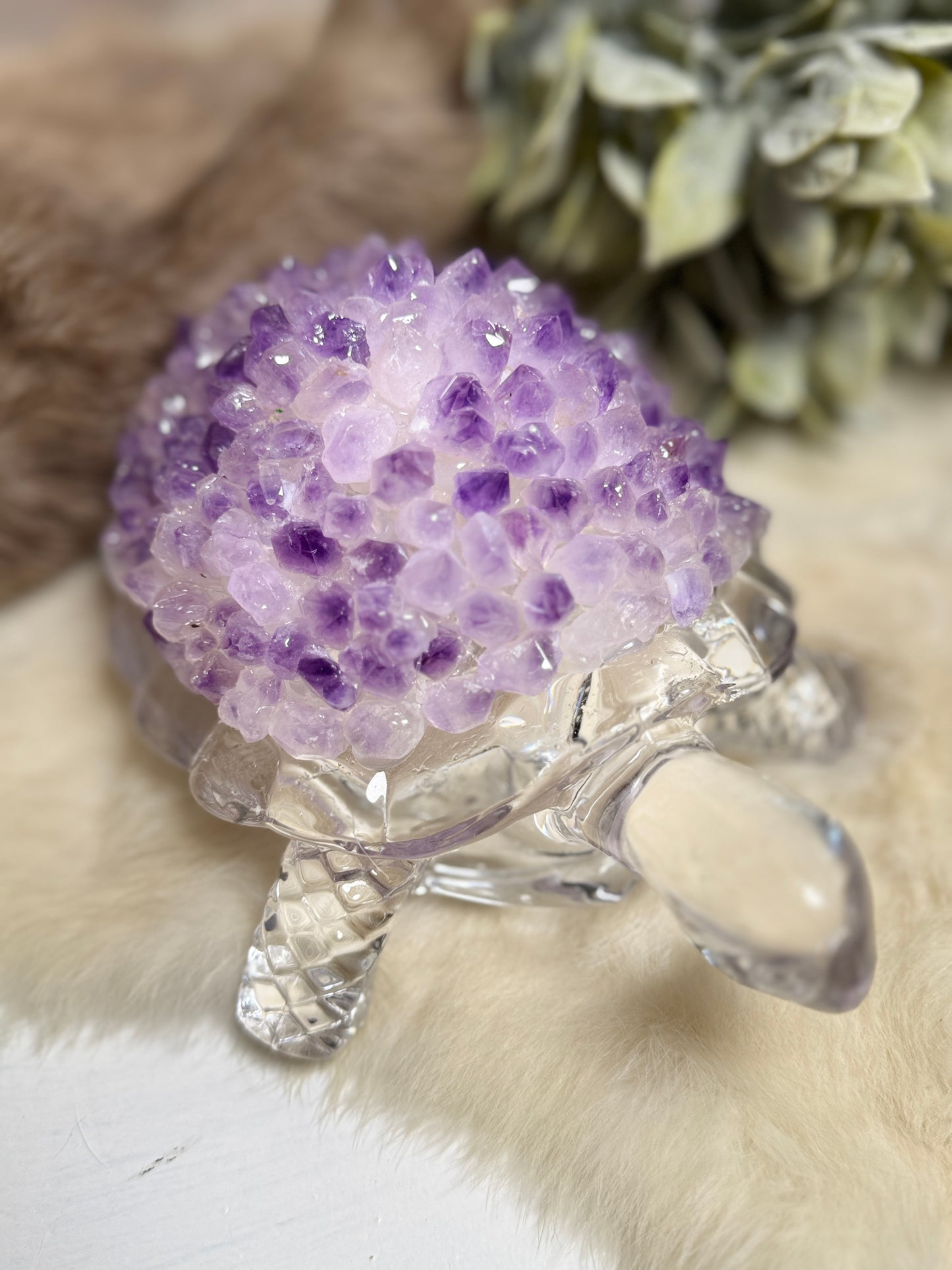 Amethyst Turtle Large Lamp - Opt 40