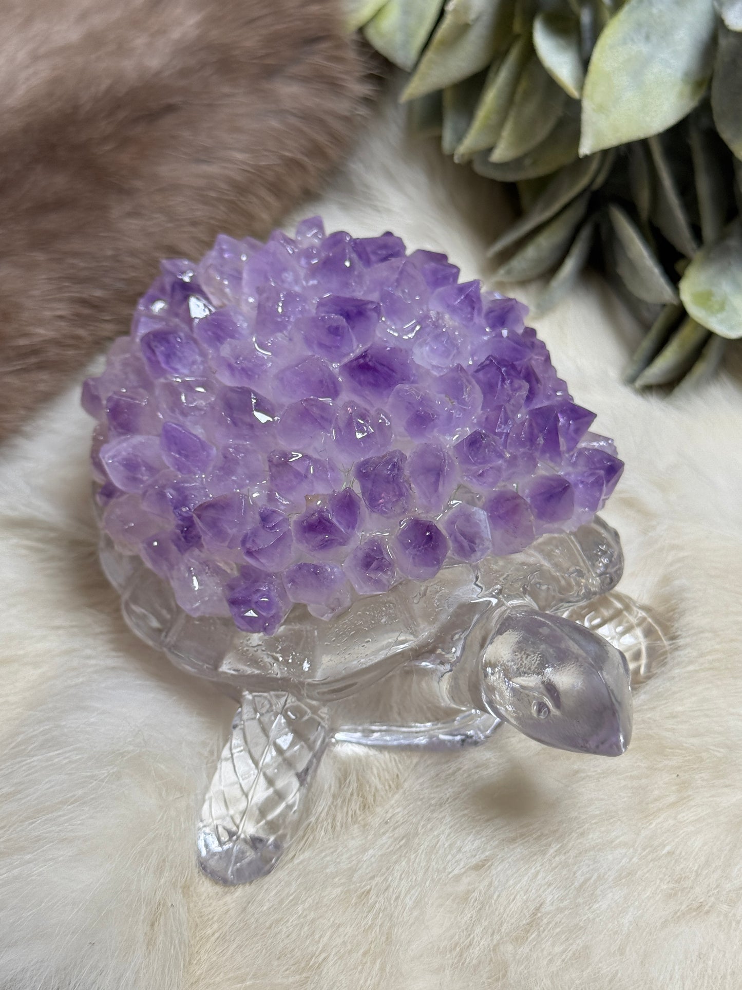 Amethyst Turtle Medium Lamp - Opt 41