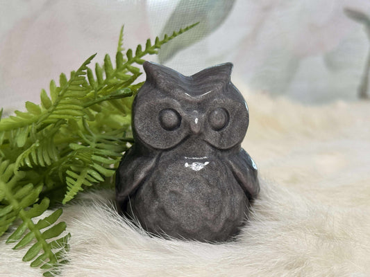 Ice Obsidian Owl