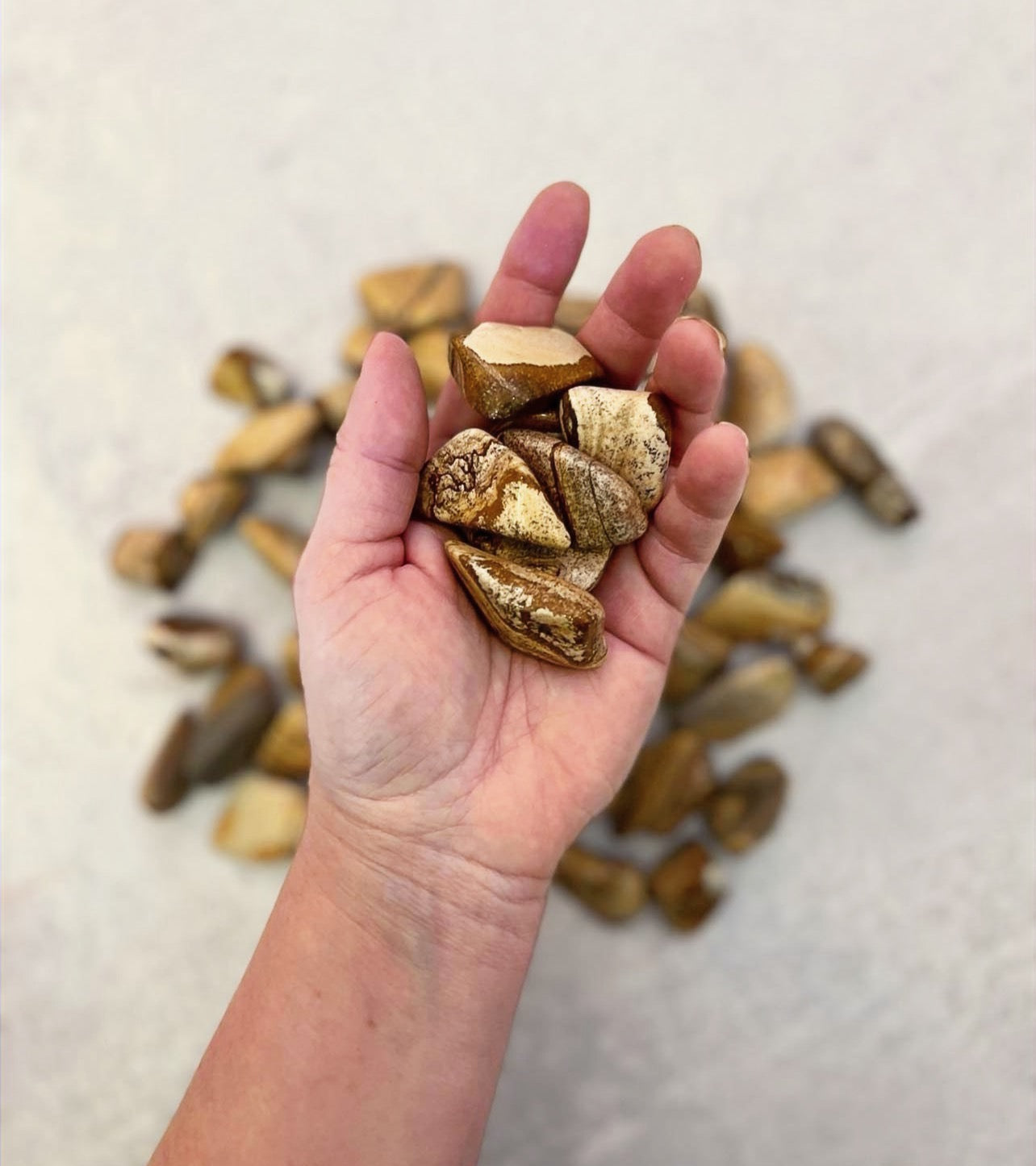 Picture Jasper