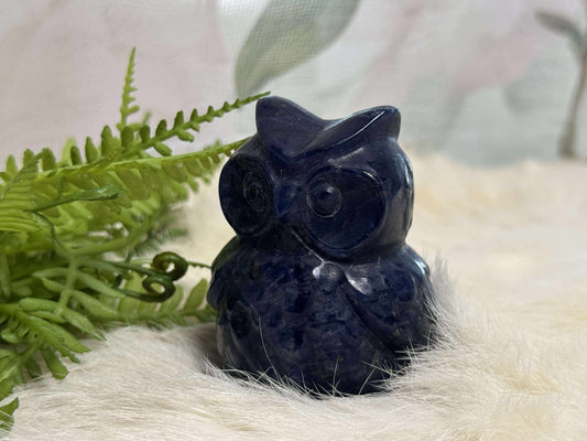 Sodalite Owl