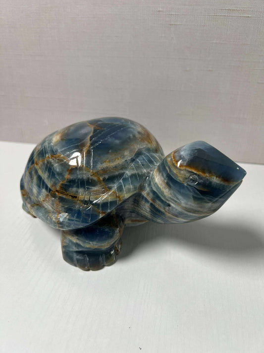 Blue Onyx Turtle - Large