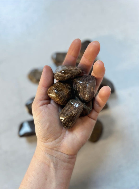 Bronzite