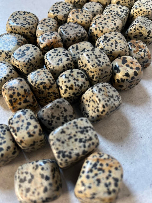 Dalmatian Jasper
