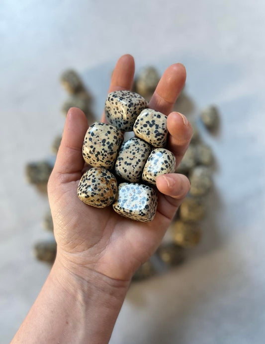 Dalmatian Jasper