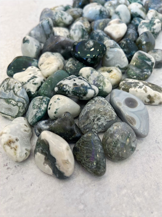 Tree Moss Agate