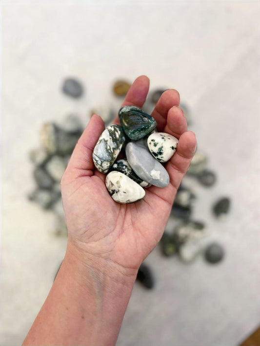 Tree Moss Agate