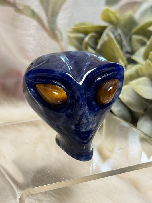 Sodalite Alien Head - Opt 33