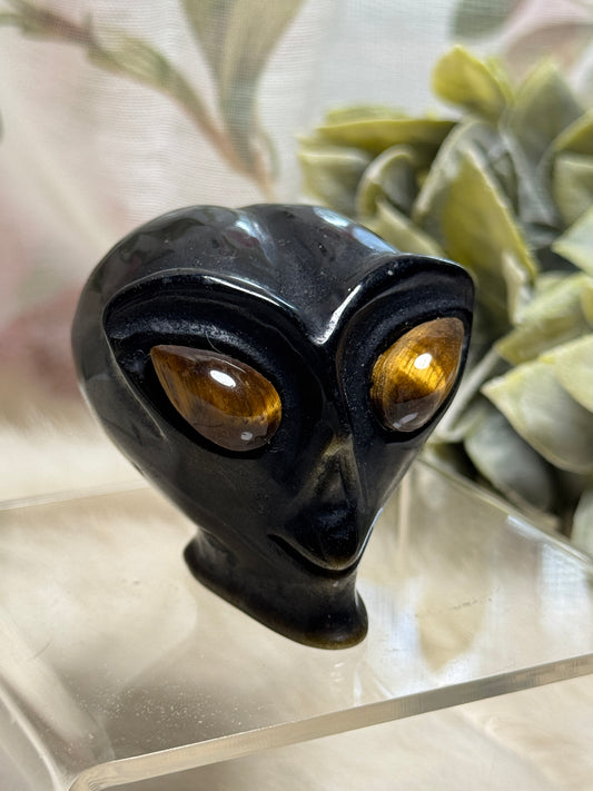 Golden Sheen Obsidian Alien Head - Opt. 35