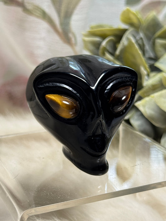 Black Onyx & Tiger Eye Alien Head - Opt 36