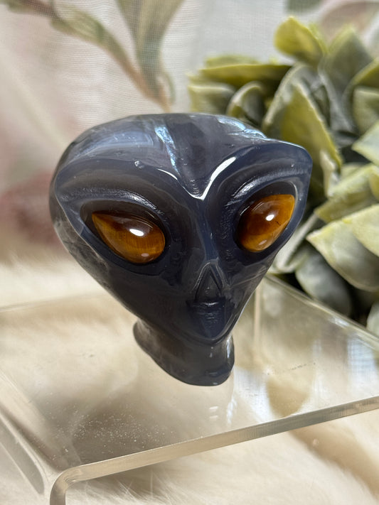 Moss Agate & Ocean Jasper Alien Head - Opt 38