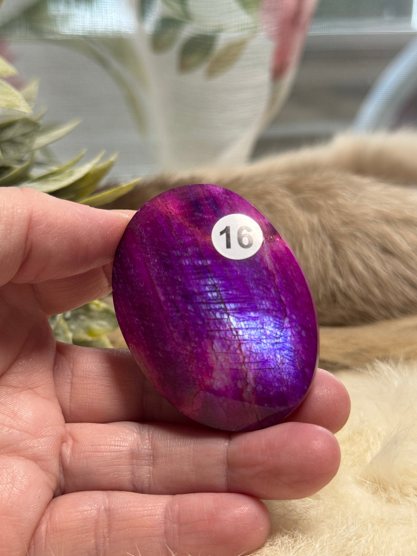 Plum Moonstone Palmstone Opt 16