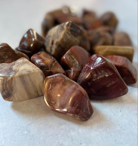 Petrified Wood