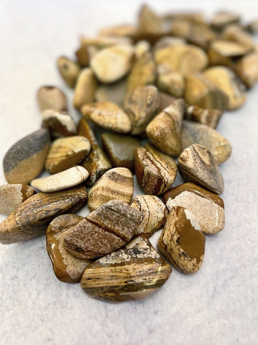 Picture Jasper