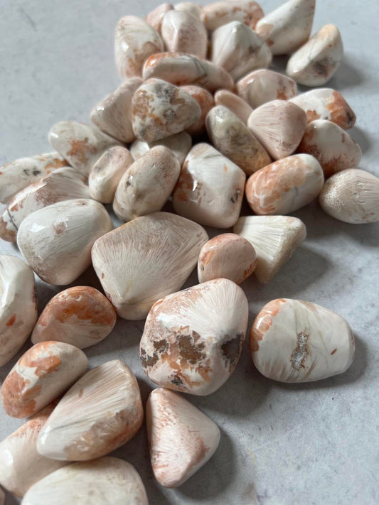 Pink Scolecite
