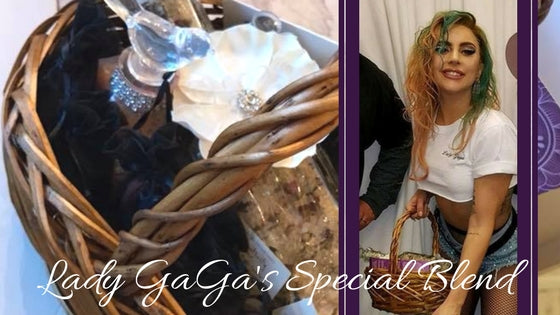Starlight Sovereignty - Lady GaGa Fibro Blend